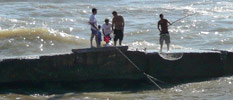 Pesca Deportiva en Mar del Plata